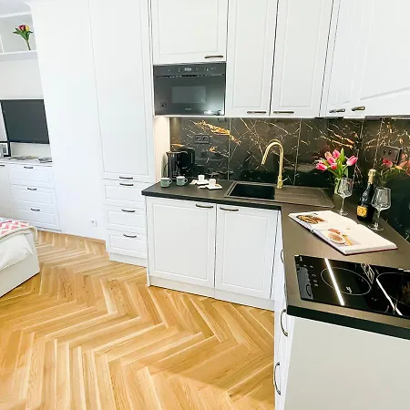 Moderni A Utulny Apartman Nekazanka V Centru Prahy *